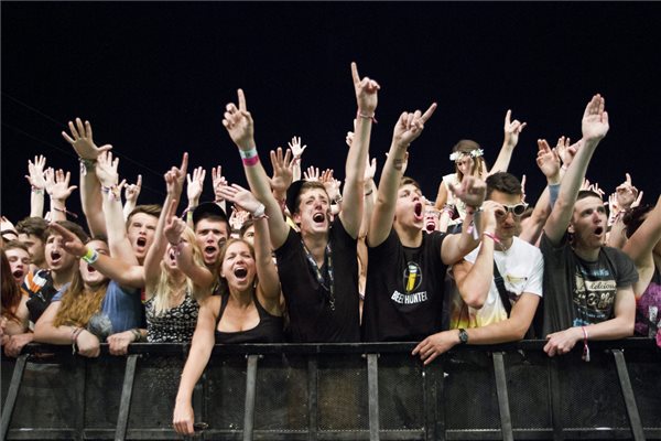 Közönség Steve Aoki amerikai DJ koncertjén a soproni Volt fesztivál második napján, 2014. július 3-án. MTI Fotó: Nyikos Péter 