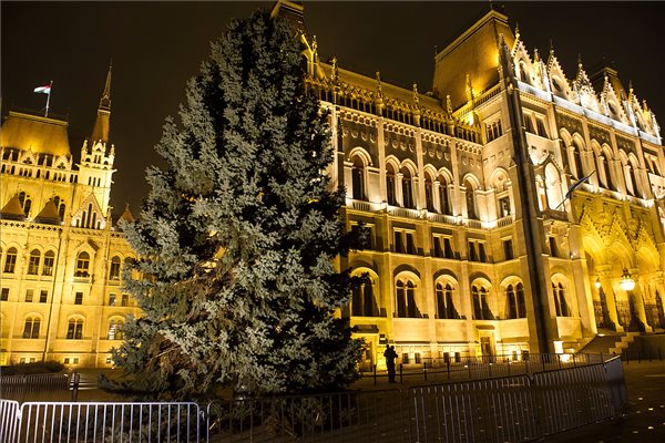 Az ország karácsonyfája Budapesten, a Kossuth téren 2016. november 25-én. A mintegy húsz méter magas, négy és fél tonna súlyú ezüstfenyőt a Fejér megyei Sárszentmihályon vágták ki. MTI Fotó: Lakatos Péter